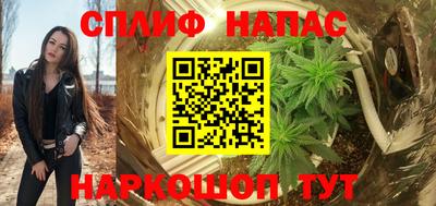 шишки Обнинск