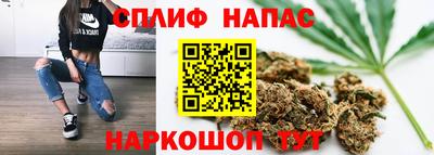 дмт Нягань