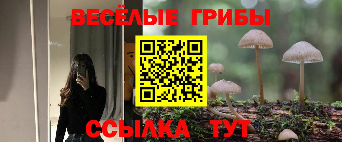 Галлюциногенные грибы мухоморы Серов
