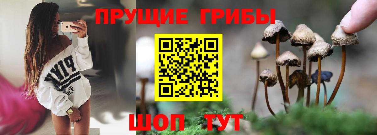 Псилоцибиновые грибы прущие грибы  Вход с VPN  Серов 